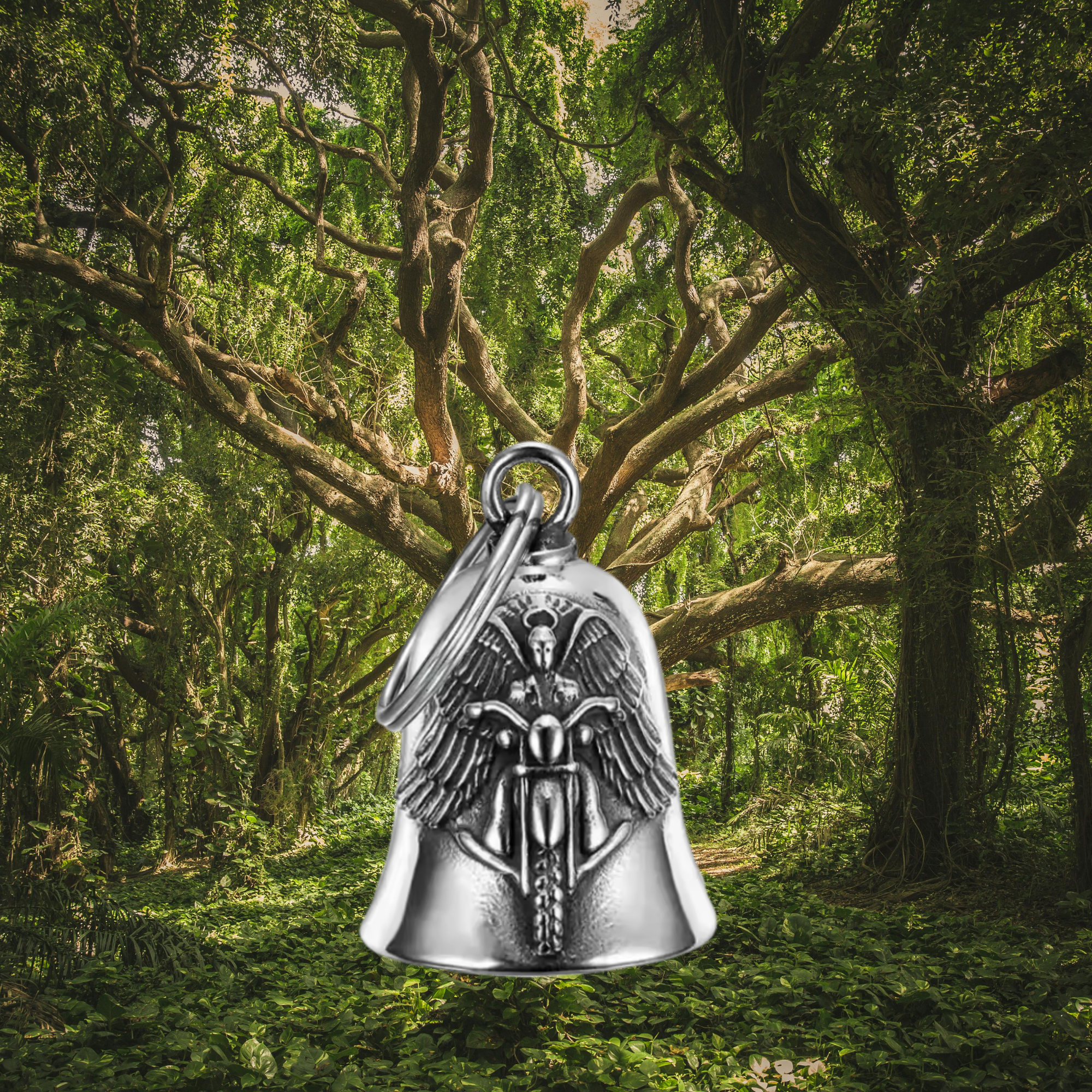 Celeste Silver Protector